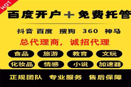 SEM专员的角色与成功案例解析